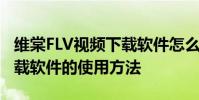 维棠FLV视频下载软件怎么用 维棠FLV视频下载软件的使用方法