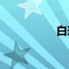 白玫瑰刺是什么意思？