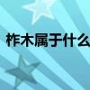 柞木属于什么档次的品牌 柞木属于什么档次
