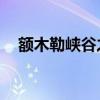 额木勒峡谷之谜读后感50字 emule 下载