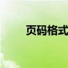页码格式不一致怎么调整 页码格式