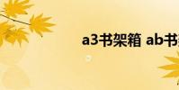 a3书架箱 ab书架箱