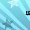 毕克 关于毕克的介绍