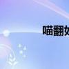 喵翻如何使用 喵翻使用教程