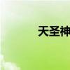 天圣神魔 关于天圣神魔的介绍