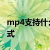 mp4支持什么格式视频播放 mp4支持什么格式