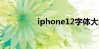 iphone12字体大小设置