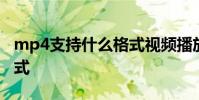 mp4支持什么格式视频播放 mp4支持什么格式