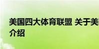 美国四大体育联盟 关于美国四大体育联盟的介绍