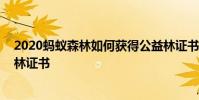 2020蚂蚁森林如何获得公益林证书 蚂蚁森林怎么获得公益林证书