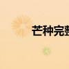 芒种完整版原唱 芒种是什么意思