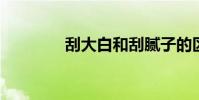 刮大白和刮腻子的区别在哪