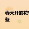 春天开的花有哪些怎么形容 春天开的花有哪些
