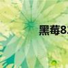 黑莓8220和9670 黑莓 8220