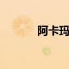 阿卡玛斯 关于阿卡玛斯的介绍