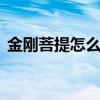 金刚菩提怎么刷都有一层灰 金刚菩提怎么刷
