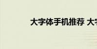 大字体手机推荐 大字体手机