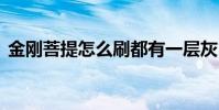 金刚菩提怎么刷都有一层灰 金刚菩提怎么刷