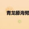 青龙滕海臂铠 关于青龙滕海臂铠的介绍