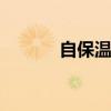 自保温砖 关于自保温砖的介绍