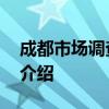 成都市场调查公司 关于成都市场调查公司的介绍