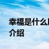 幸福是什么周立波 关于幸福是什么周立波的介绍