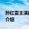 孙红雷主演的征服 关于孙红雷主演的征服的介绍