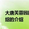 大唐芙蓉园剧情介绍 关于大唐芙蓉园剧情介绍的介绍