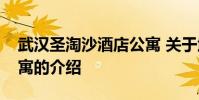 武汉圣淘沙酒店公寓 关于武汉圣淘沙酒店公寓的介绍