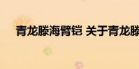 青龙滕海臂铠 关于青龙滕海臂铠的介绍
