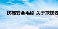 扶梯安全毛刷 关于扶梯安全毛刷的介绍