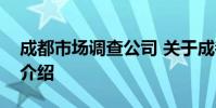 成都市场调查公司 关于成都市场调查公司的介绍