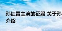 孙红雷主演的征服 关于孙红雷主演的征服的介绍