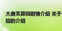 大唐芙蓉园剧情介绍 关于大唐芙蓉园剧情介绍的介绍