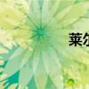 莱尔诗丹花洒 莱尔诗丹