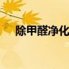 除甲醛净化器哪个牌子好 净化器哪个好