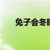 兔子会冬眠吗是几月份 兔子会冬眠吗