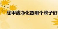 除甲醛净化器哪个牌子好 净化器哪个好