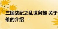三国战纪之乱世枭雄 关于三国战纪之乱世枭雄的介绍