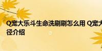Q宠大乐斗生命洗刷刷怎么用 Q宠大乐斗生命洗刷刷获得途径介绍