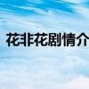 花非花剧情介绍 关于花非花剧情介绍的介绍