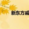 新东方戚颖 关于新东方戚颖的介绍