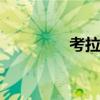 考拉商城是什么 考拉商城