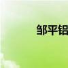 邹平铝厂 关于邹平铝厂的介绍
