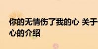 你的无情伤了我的心 关于你的无情伤了我的心的介绍