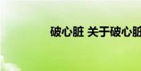 破心脏 关于破心脏的介绍