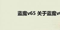 蓝魔v65 关于蓝魔v65的介绍