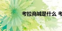 考拉商城是什么 考拉商城