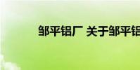 邹平铝厂 关于邹平铝厂的介绍
