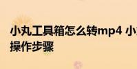 小丸工具箱怎么转mp4 小丸工具箱转mp4的操作步骤